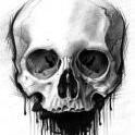 PaleBones