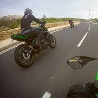 Lupo