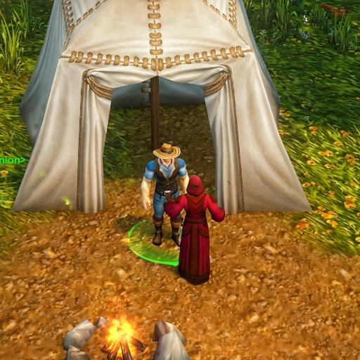 Camping