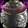 Imp in a Jar Icon