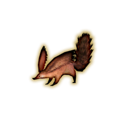 Squirrel Portrait