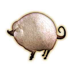 Lamb Portrait