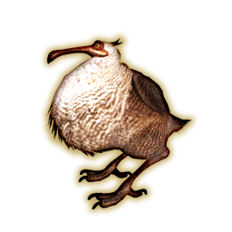 Dodo Portrait