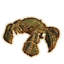 Megalocrab Portrait