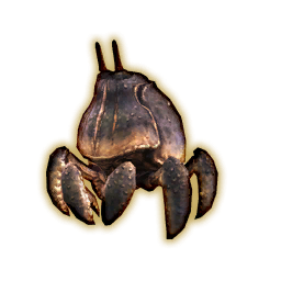 Crab Portrait