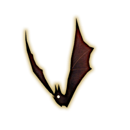 Bat Portrait