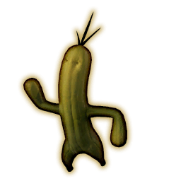 Sabotender Portrait