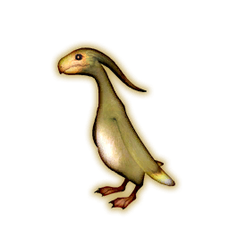 Apkallu Portrait