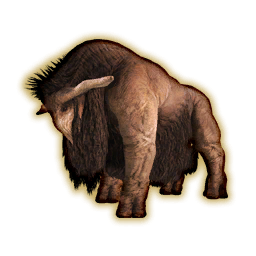 Buffalo Portrait