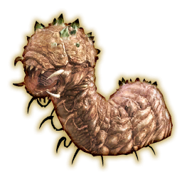 Worm Portrait