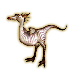 Raptor Portrait