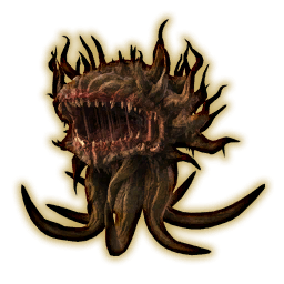 Morbol Portrait