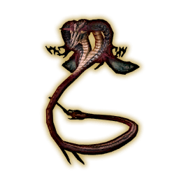 Cobra Portrait