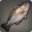 Red Drum Icon