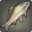 White Goldfish Icon