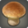 Brown Mushroom Icon