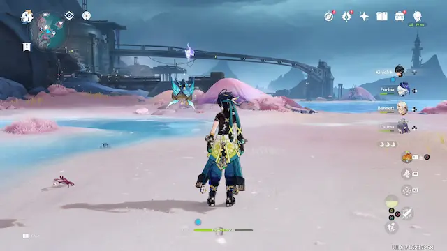 Paha Isle Lunoculus Collectables: ##3 On the beach, floating in the air