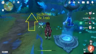 Weeping Willow Of The Lake Lakelight Lily Farming Route: #How to reach Node #21 from the Teleport