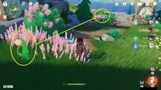 South Elynas Rainbow Rose Farming Route: #Nodes #14 and #15