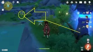 Starfell Lake Windwheel Aster Farming Route: #How to reach Nodes #1 and #2 from the Teleport