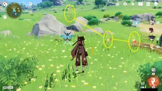 Windrise Windwheel Aster Farming Route: #Nodes #5, #6, #7, and #8