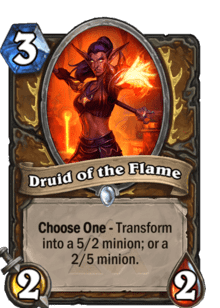 Druid of the Flame