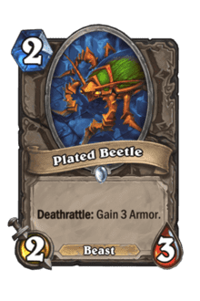 Plated Beetle