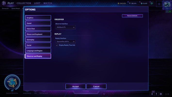 Observer and Replay Interface Settings