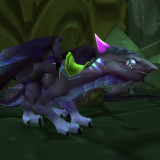 Netherwing Reputation Guide