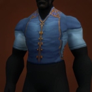Vest of Forsaken Necromancy, Royal Blouse, Abjurer's Tunic Model