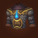 Tunic of the Unblinking Vigil Model