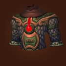 Tunic of the Unblinking Vigil Model