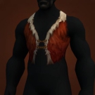 Aboriginal Vest Model