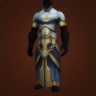 Vestments of the Avatar Model
