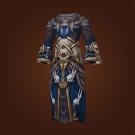 Wild Gladiator's Felweave Raiment Model