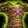 Malfurion's Vestments of Triumph Icon
