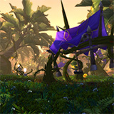 Everbloom Dungeon Guide