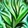 Wild Growth Icon