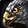 Dire Beast: Hawk Icon