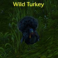 Pilgrim's Bounty - Wild Turkey