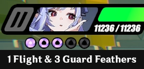 Flight and Guard Feathers