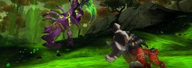 Patch 8.2.5 Battle Pets Overview