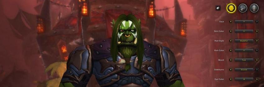 World of Warcraft: Shadowlands' customization is instead of a new