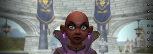 Restrictions of the New Customization Options in Shadowlands