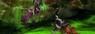 Its Super Squirt Day on EU Servers: Get Your Pets to level 25 Fast!