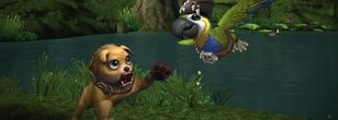 Patch 10.2.7 Giveaway: Lucky Quilen Cub Pet