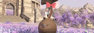 FFXIV - Get Your Own Chocorpokkur Mount for Free!