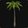 Razorwind Palm Tree icon