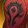Horde Tabard of Participation icon
