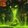 Glory of the Venomous Abyss Raider icon